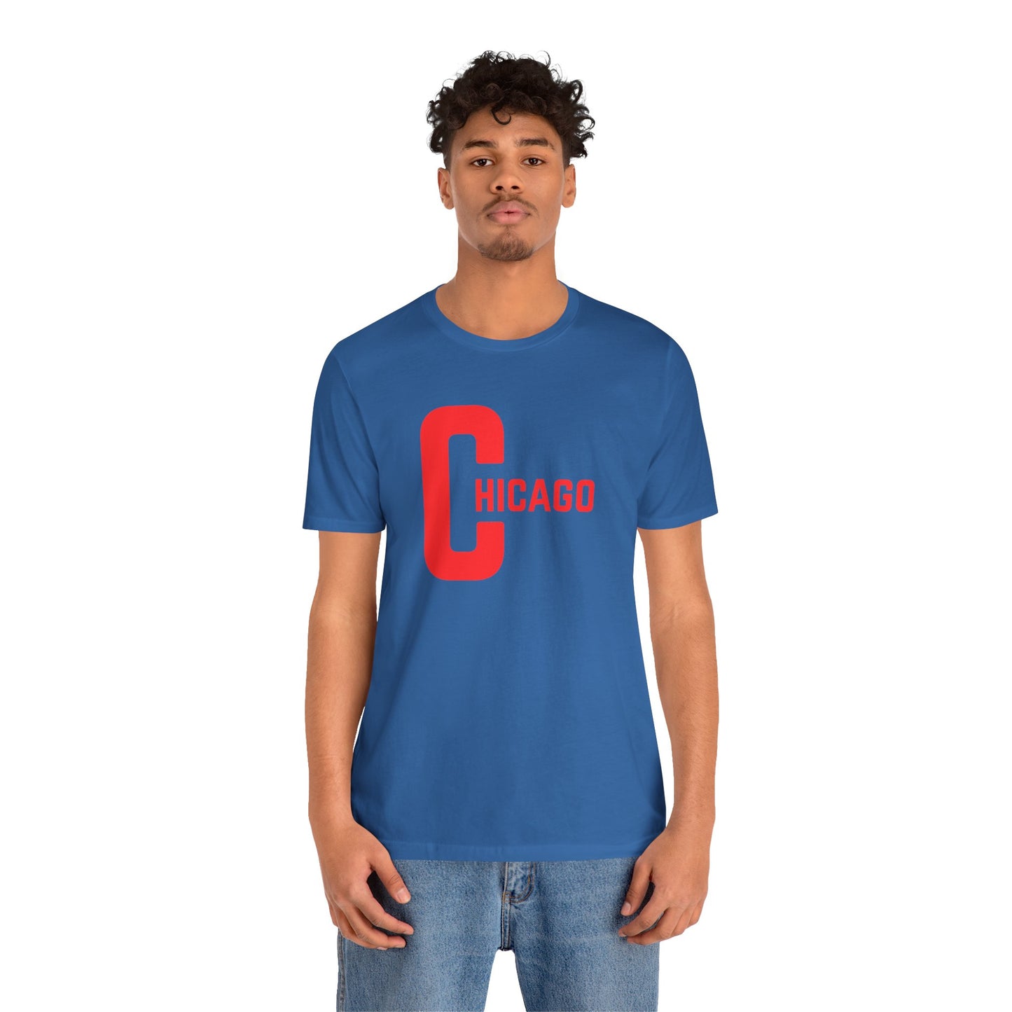 Chicago Sports Inspired T Shirt – Windy City Streetwear by City Tees